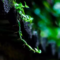 頭像圖標(biāo)1